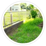 草むしりが煩わしい